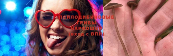 Альфа ПВП Аркадак