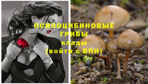 Альфа ПВП Аркадак