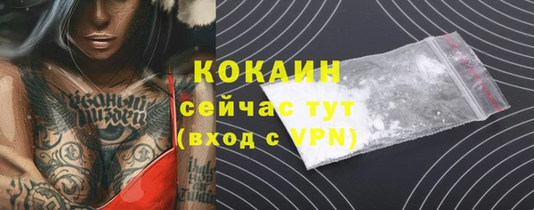 спиды Арсеньев